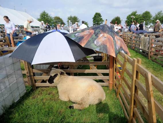 The popular Driffield Show Picture: Simon Hulme