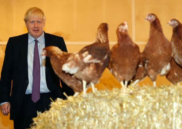 What does Boris Johnson's policy approach mean for farmers?
