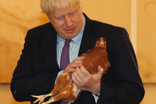 Boris Johnson undertook a farm visit during his first week as PM.