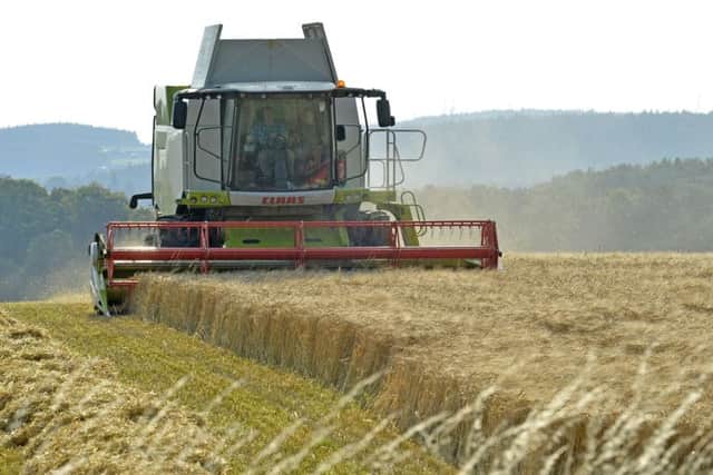 What will Brexit mean for the rural economy?