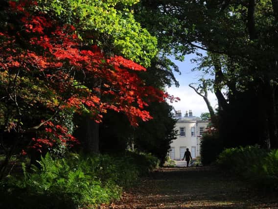 Thorp Perrow Hall from one of the main avenues