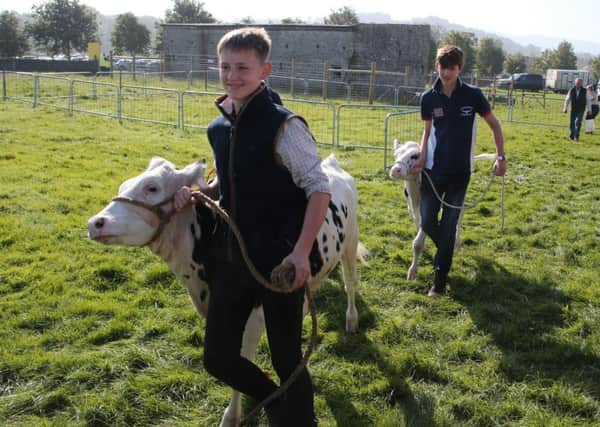 What more can be done to encourage young people into farming?