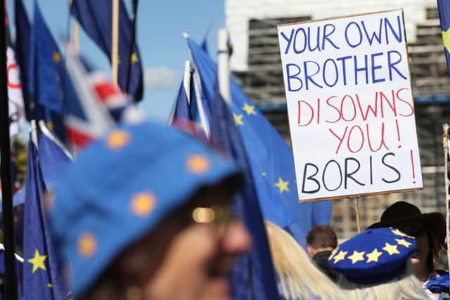 Brexit protesters outside the Houses of Parliament after Boris Johnson's borther, Jo, resigned as a Cabinet minister.