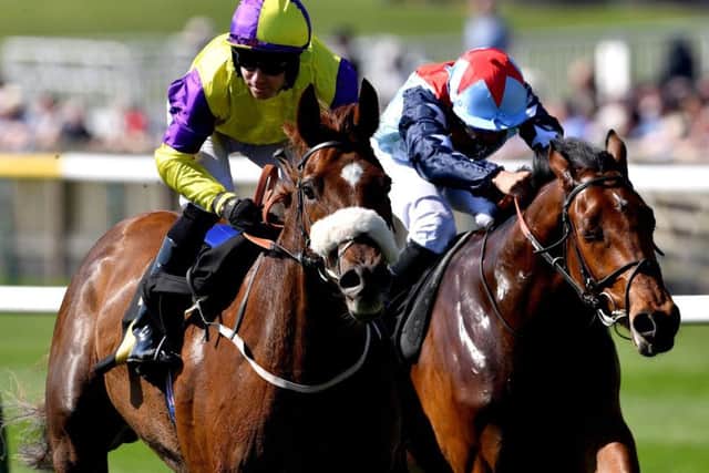 Brando and Tom Eaves, pictured winning at Newmarket last year, line up in the Haydock Sprint Cup today.