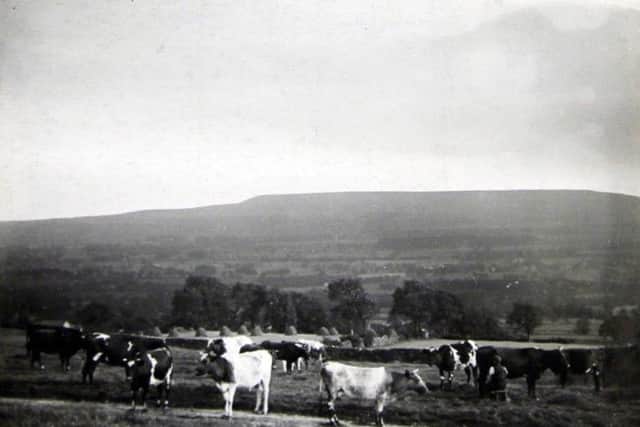 Redmire Pastures 1910