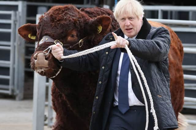 Boris Johnson during a pre-election farm visit.