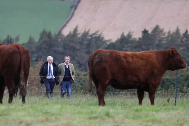 Boris Johnson visits a farm in Scotland as part of his pre-election tour.