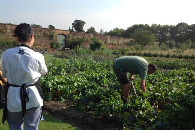 Restoration of the kitchen garden began in 2009 and it opened in 2012