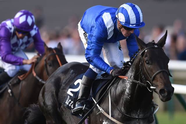 Mark Johnson's Elarqam, the mount of Jim Crowley, lines up in today's Irish Champion Stakes.