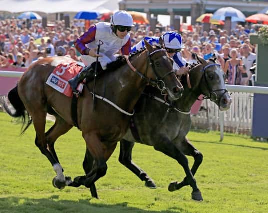 PJ McDonald and Laurens (near side) narrowly lost out to Shine So Bright at York's Ebor festival.