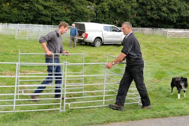 Trevor Stoney is setting up sheep pens at Nidderdale showground in Pateley Bridge with George Hardcastle with his dad Joe Stoney watching on.
Trevor is show manager and also this year president of Nidderdale Show. Picture Tony Johnson
