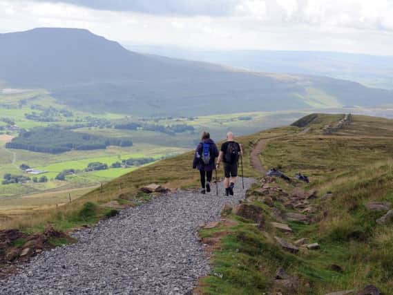 Walkers descend from the summit of Whernside on the Three Peaks footpath with Ingleborough in the distance. Picture by Tony Johnson.