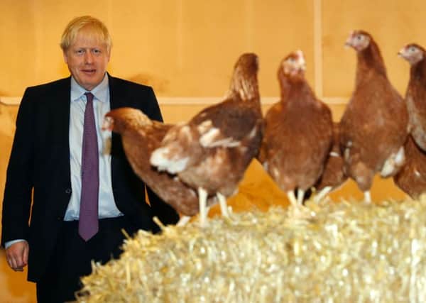 Britain's Prime Minister Boris Johnson inspects the poultry during his visit to rally support for his farming plans post-Brexit, at Shervington Farm, St Brides Wentlooge near Newport, south Wales.