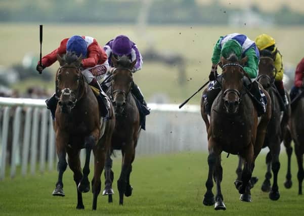 Newmarket winner Veracious (left) is due to reappear next month.