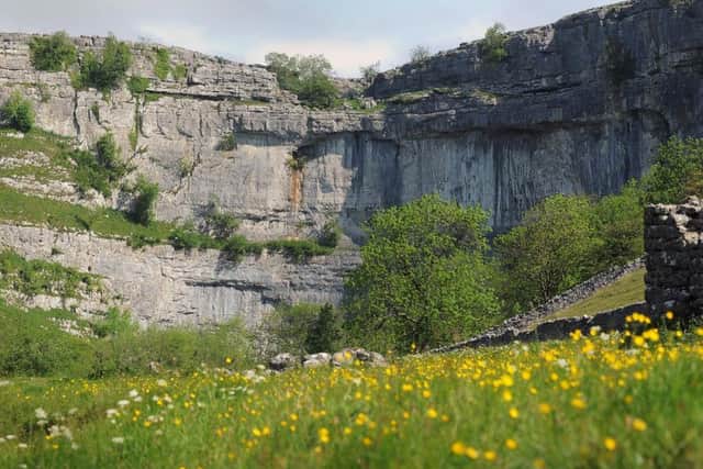 A wildflower meadows next to Malham Cove in the Yorkshire Dales National Park. Conservation organisations want the Government to make at least 3bn available to farmers every year for the next decade to help aid a wildlife recovery, including through the creation of more wildflower meadows. Picture by Bruce Rollinson.