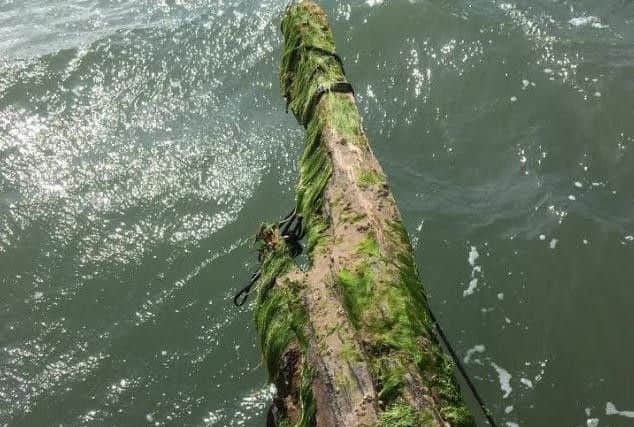 Deck timbers still survive -despite exposure to saltwater over 130 years