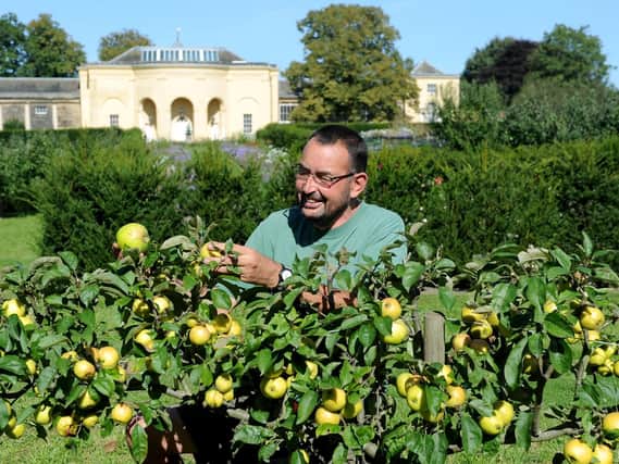 Kitchen gardener Mark Westmoreland and his team grow 10 varieties of apple at Nostell Priory