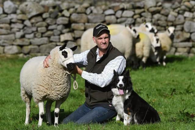 Andrew Fisher is shows Teeswaters, Clun Forest and Kerry Hill sheep. Pictured with one of his Kerry Hills and sheepdog Bess. Picture by Jonathan Gawthorpe.