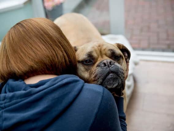 Having a dog can stop a domestic abuse victim fleeing