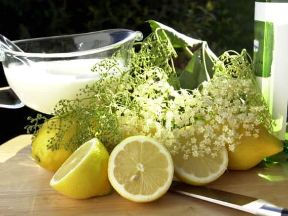 Elderflower drinks have become big business, writes Roger Ratcliffe. Picture by Bruce Rollinson.