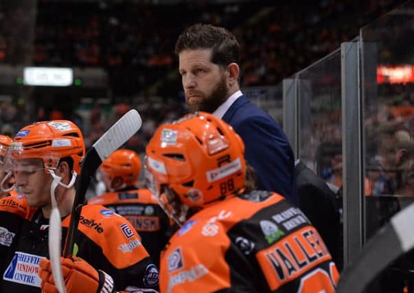 TOUGH WEEKEND: Sheffield Steelers' head coach and GM, Aaron Fox. Picture: Dean Woolley.