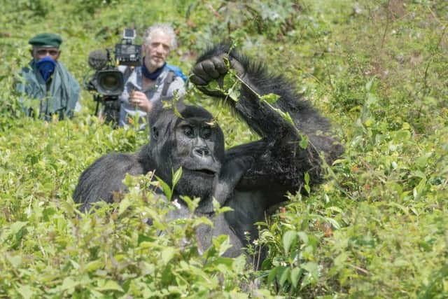 Gordon Buchanan has been a wildlife cameraman for nearly 30 years.