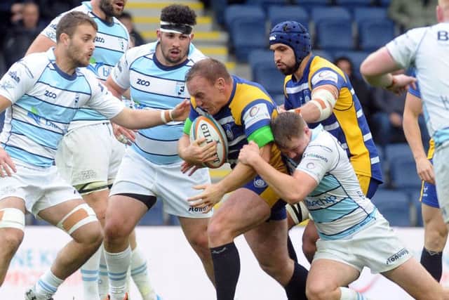 Yorkshire Carnegie's 
Ben Sowery tries to get a drive going against Bedford Blues. Picture: Steve Riding.