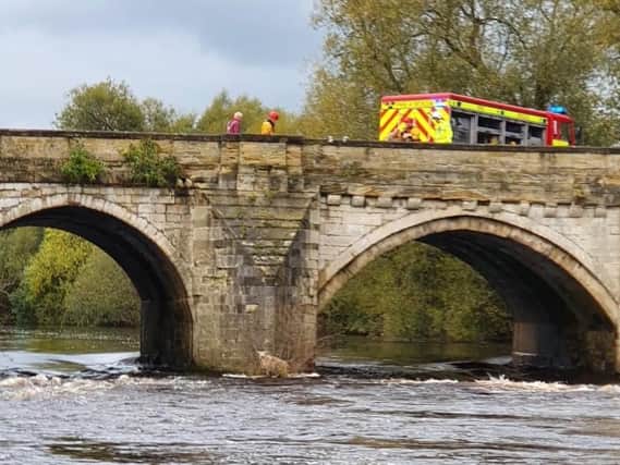 Rescue services were called to save a sheep stranded on an island in the River Ure in North Yorkshire