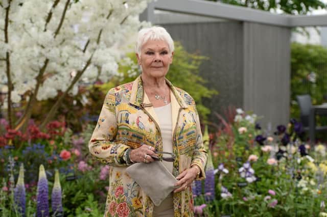 Dame Judi Dench was among the visitors to Welcome to Yorkshire's show garden at the RHS Chelsea Flower Show 2019  (Photo by Jeff Spicer/Getty Images)