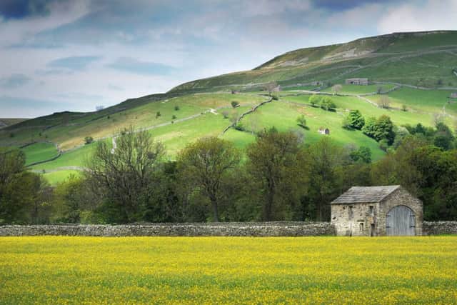 A stunning scene in Swaledale, but what is the future for Yorkshire's rural heartlands?