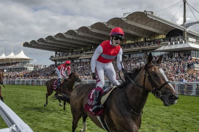 Oisin murphy hopes Deirdre, winner of the Nassau Stakes at Glorious Goodwood, can win the Qipco Champion Stakes at Ascot.