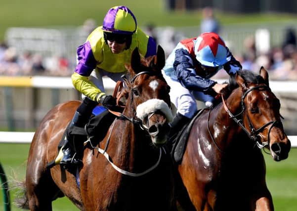Brando and Tom Eaves (left) represent Kevin Ryan in the Qipco British Champions Sprint.
