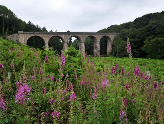 The viaduct at Nidd Gorge. Picture: Gerard Binks