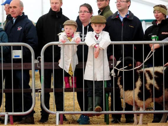 Two young sheep handlers look on at the ringside at Countryside Live in Harrogate. Picture by Simon Hulme.