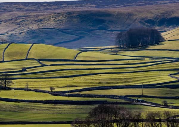 A new rural commission has been set up to examine the policy issues facing North Yorkshire and its countryside communities.