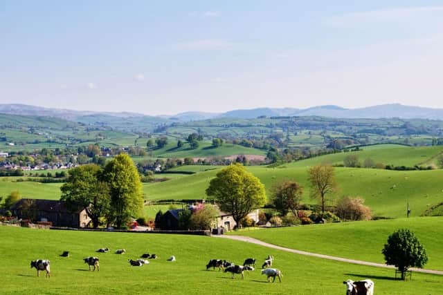 Just eight per cent of housing in rural areas can be classed as affordable, compared to 20 per cent of urban housing, according to The Princes Countryside Fund. Picture: University College of Estate Management/Getty Images.