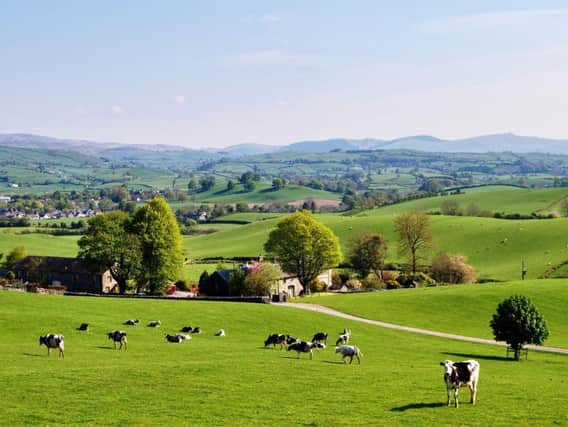 Just eight per cent of housing in rural areas can be classed as affordable, compared to 20 per cent of urban housing, according to The Princes Countryside Fund. Picture: University College of Estate Management/Getty Images.