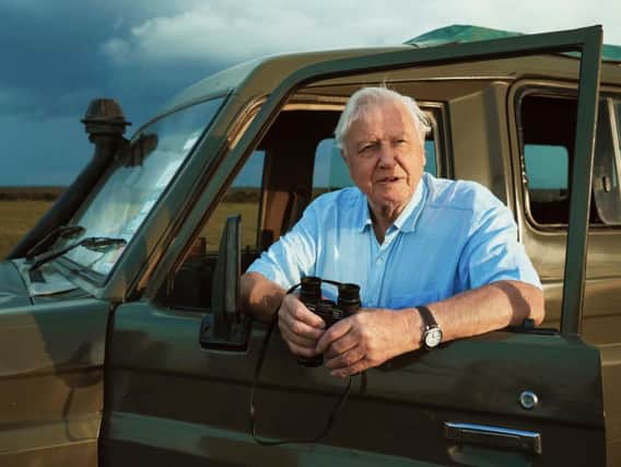 Sir David Attenborough. Photo: PA Photo/BBC NHU/Alex Board.