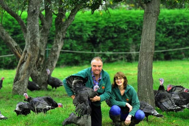 Rory and Diane Kemp at Pasture farm, Barton Le Street with some of their turkeys. Picture by Gary Longbottom.