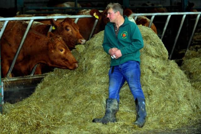 Will Kermp at Pasture farm, Barton Le Street with some of their Stabiliser cattle. Picture by Gary Longbottom.
