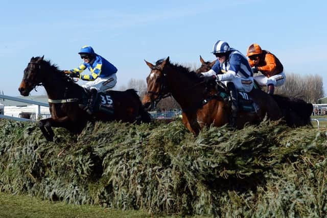 Ryan Mania and Auroras Encore clear the last in the 2013 Grand National.