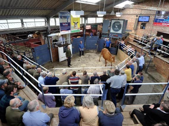 Malton's cattle market currently occupies a site in the town centre