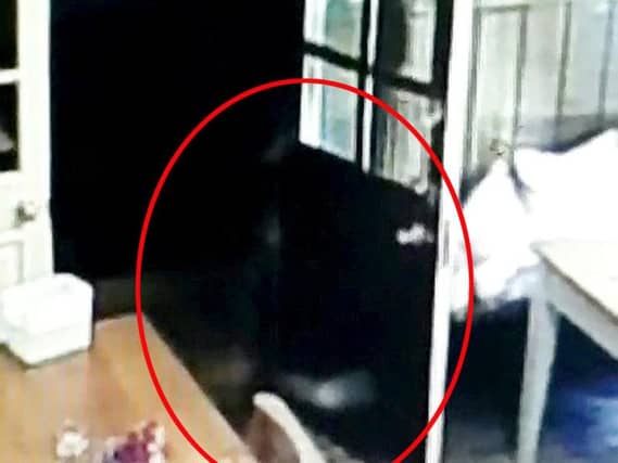 The outline of the 'ghost'