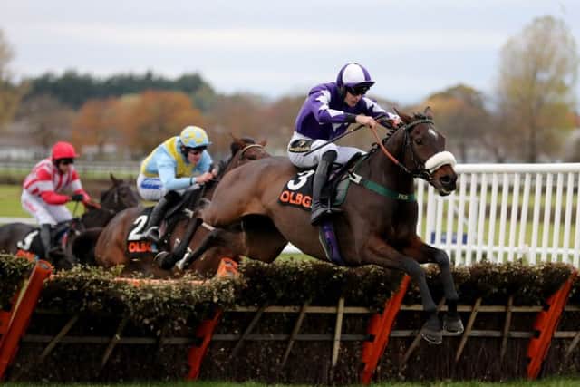This is Lady Buttons and Adam Nicol clearing the last flight in the Mares' Hurdle at Wetherby on Charlie Hall Chase day last year.