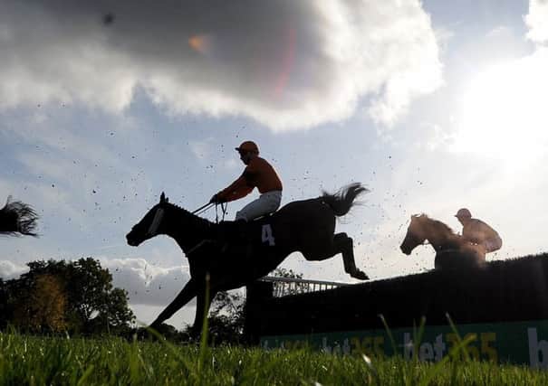 Sam Spinner and Joe Colliver made a winning steeplechase debut at Wetherby last month.