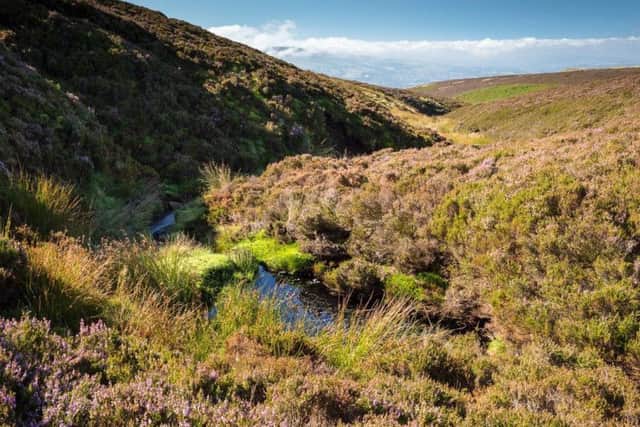 The South Pennine Moors Special Protection Area was monitored for breeding bird life for the survey. Picture by Moors for the Future Partnership.