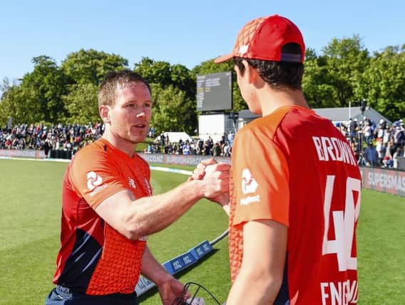 Well done: England's Eoin Morgan, left, and Pat Brown celebrate after winning the T20 international against New Zealand at Hagley Oval, in Christchurch.