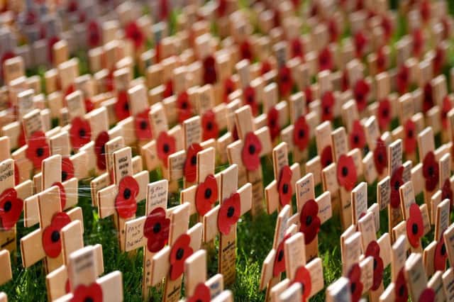 Planted crosses during the official opening of the 2019 Royal British Legion Field of Remembrance at the National Memorial Arboretum in Alrewas, Staffordshire. Picture  Jacob King/PA Wire