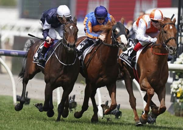 Winner: Jockey Craig Williams, right, rides Vow and Declare to victory in the Melbourne Cup. Picture: AP