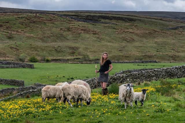 Amanda Owen tends to her flock. Picture: James Hardisty.